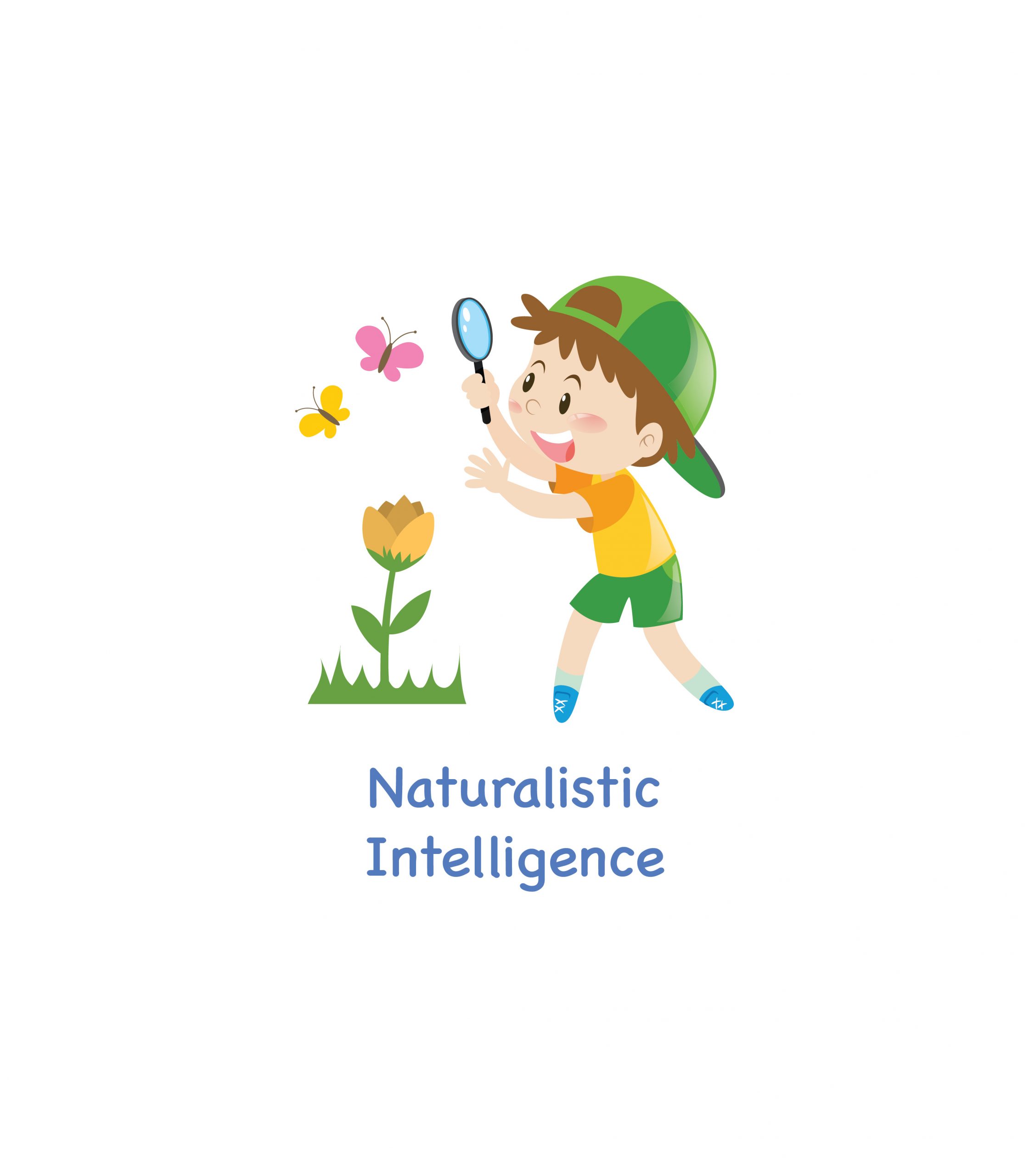 naturalist intelligence ( nature smart )